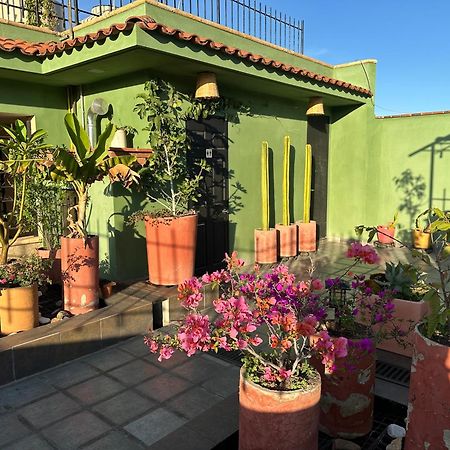Hostal Nordes Oaxaca Ngoại thất bức ảnh