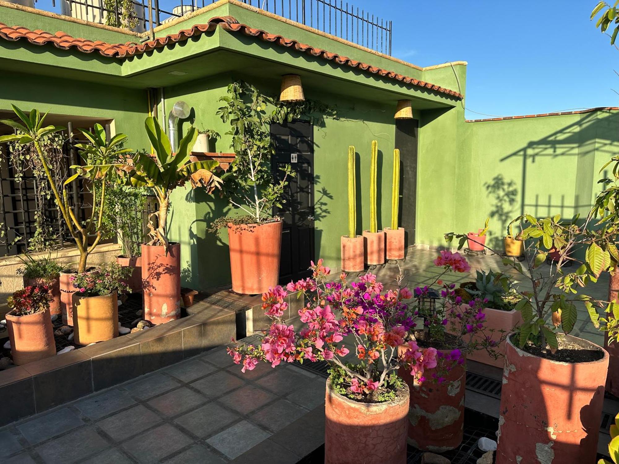 Hostal Nordes Oaxaca Ngoại thất bức ảnh